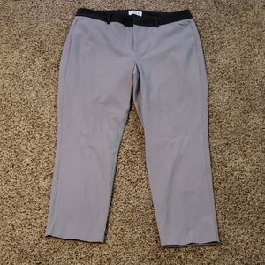 Dress capris size 14